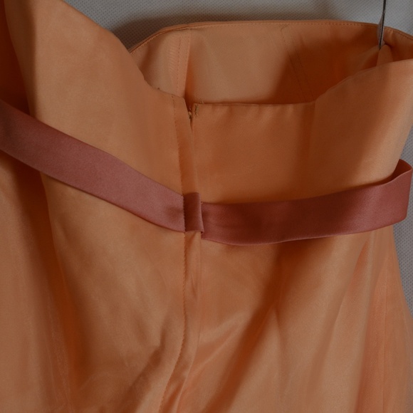 Alfred Angelo SZ 14 Organza-type Lined Strapless Dress - Picture 13 of 13